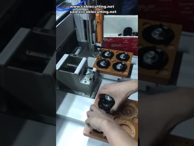 Robot wkrętakowy 5331 z podwójnymi platformami Y – automatyczna maszyna do wkręcania śrub